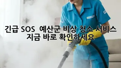 긴급 SOS! 🚨 예산군 비상 청소 서비스, 지금 바로 확인하세요!